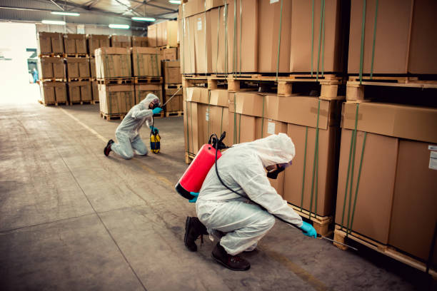  Brooklyn, WI Pest Control Pros