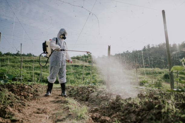 Best Ant Control Services  in Brooklyn, WI
