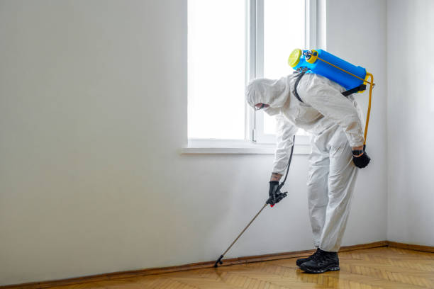 Best Termite Control Services  in Brooklyn, WI