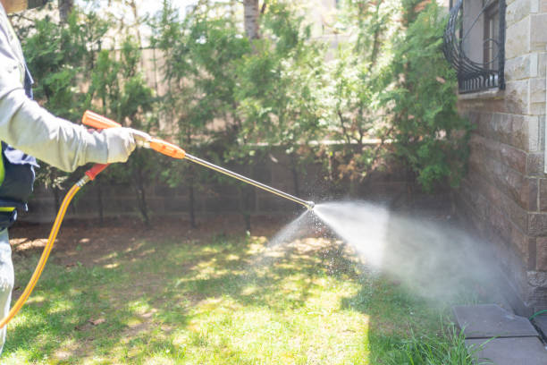 Best Affordable Pest Control Services  in Brooklyn, WI