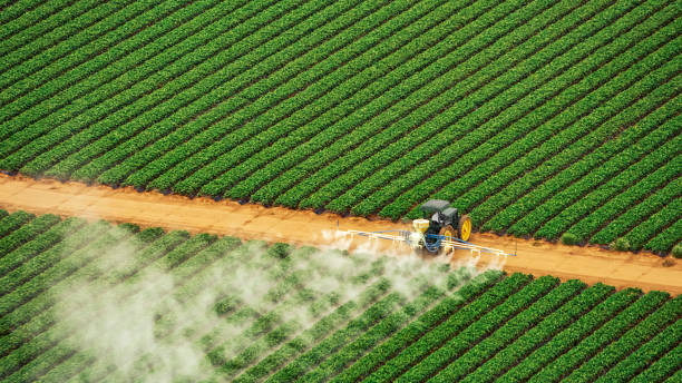 Best Mosquito Control Services  in Brooklyn, WI