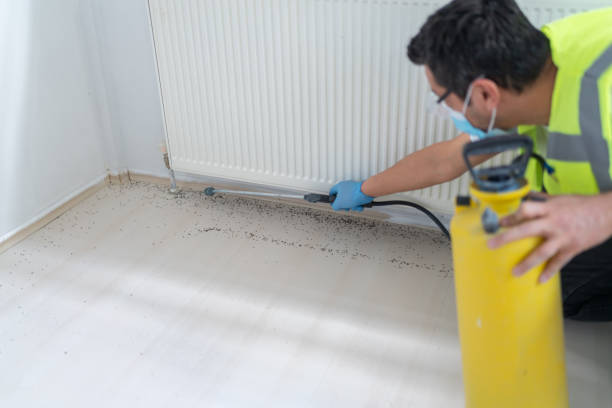 Best Local Pest Control Services  in Brooklyn, WI