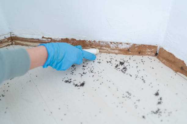 Best Commercial Pest Control Services  in Brooklyn, WI